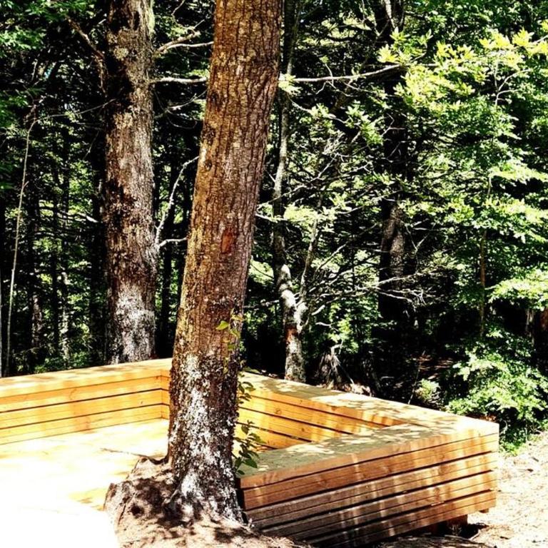 Refugio Piren , Corralco, Conguillio y Hot Tub - Chalet - 21