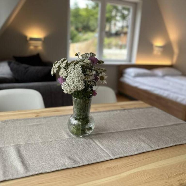 Studio Čuvarkuća - One-Bedroom Apartment - 16