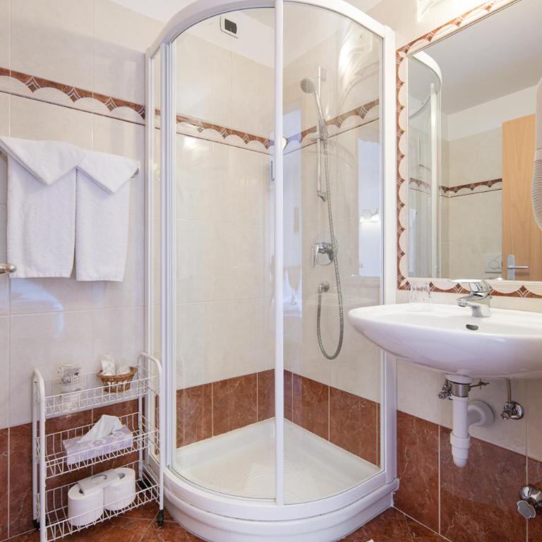 Hotel Zirmes - Camera Standard Matrimoniale/Doppia con Letti Singoli - 11