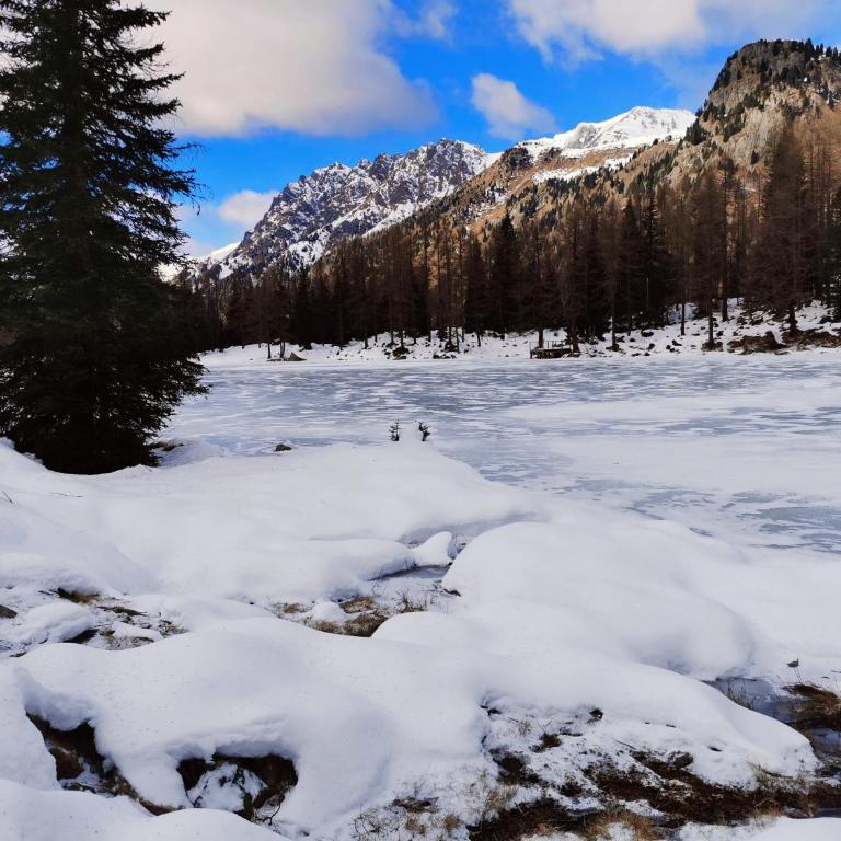 Casina Alpina trekking Passo S Pellegrino - Appartamento con 1 Camera da Letto - 27