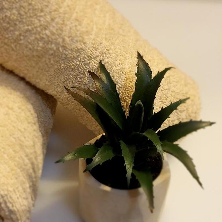 Bulevar Plus - Apartman sa 1 Spavaćom Sobom - 19