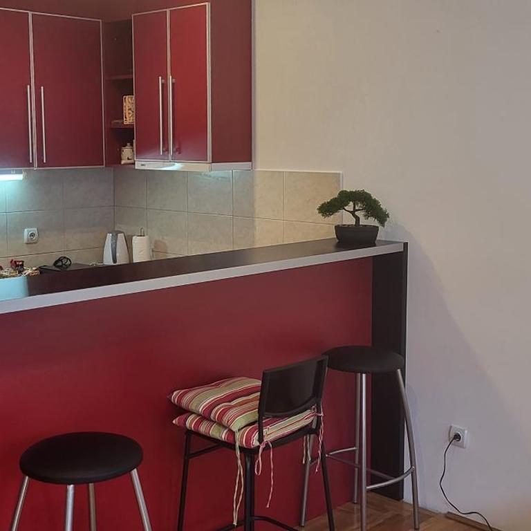Bulevar Plus - Apartman sa 1 Spavaćom Sobom - 13
