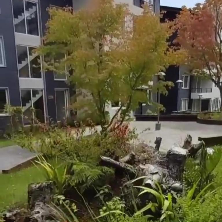 Departamento Pucon, para 5 personas - Two-Bedroom Apartment - 4
