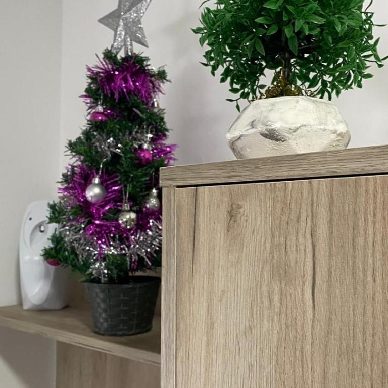 Apartman Anastasija Divcibare - Studio - 5