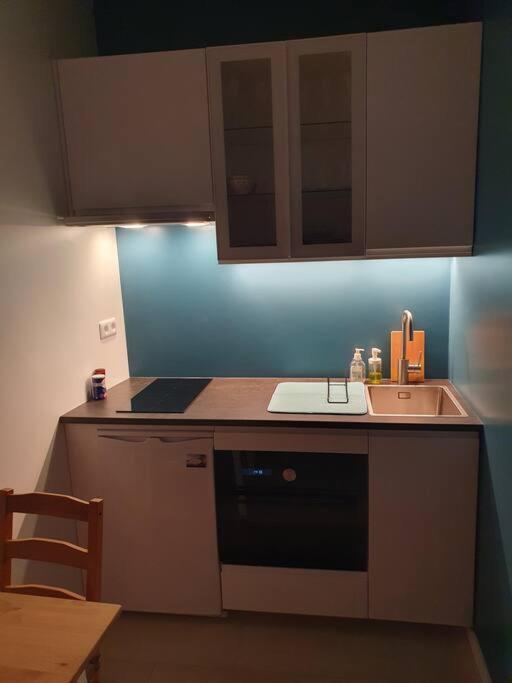 Appartement - One-Bedroom Apartment - 15
