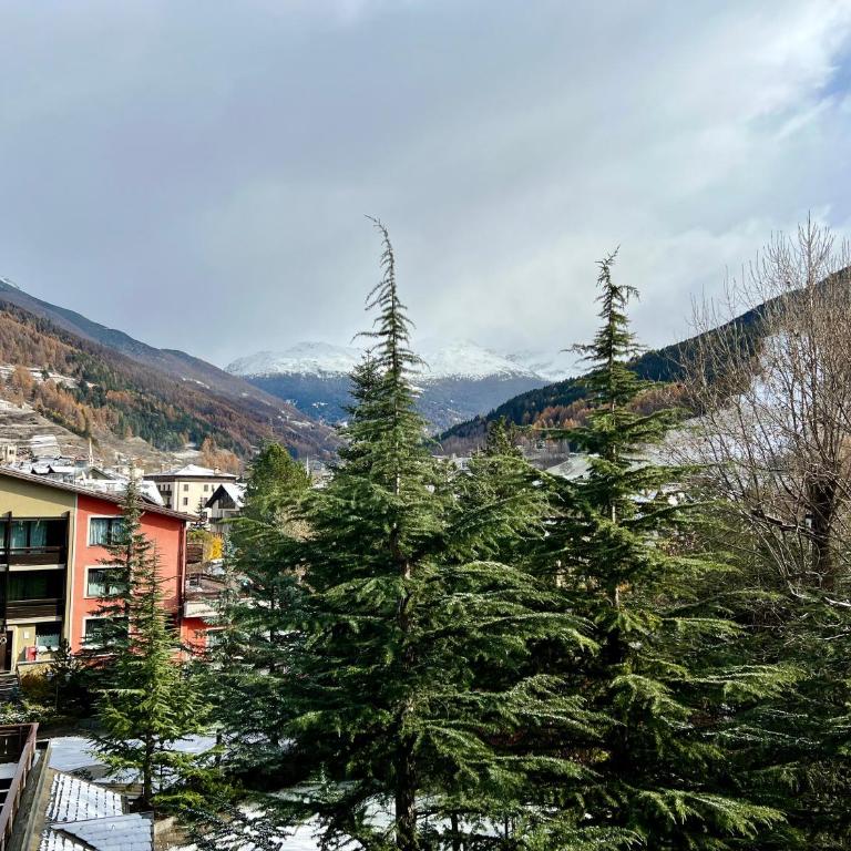 AbitArt Bormio - Il Pettirosso - Appartamento Monolocale - 20