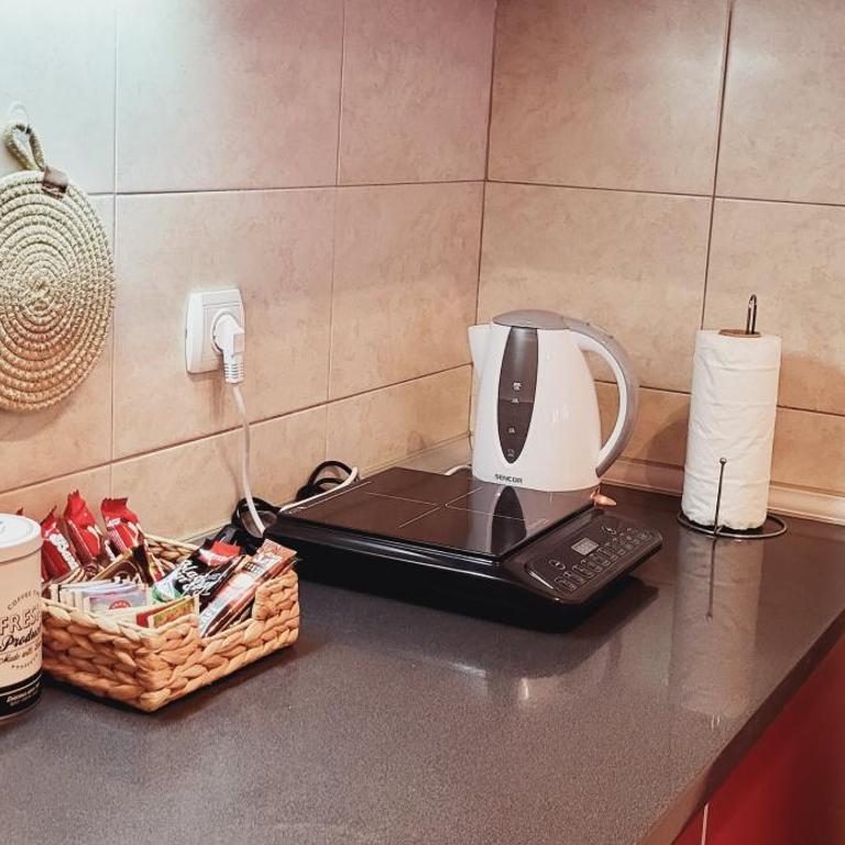 Bulevar Plus - Apartman sa 1 Spavaćom Sobom - 11