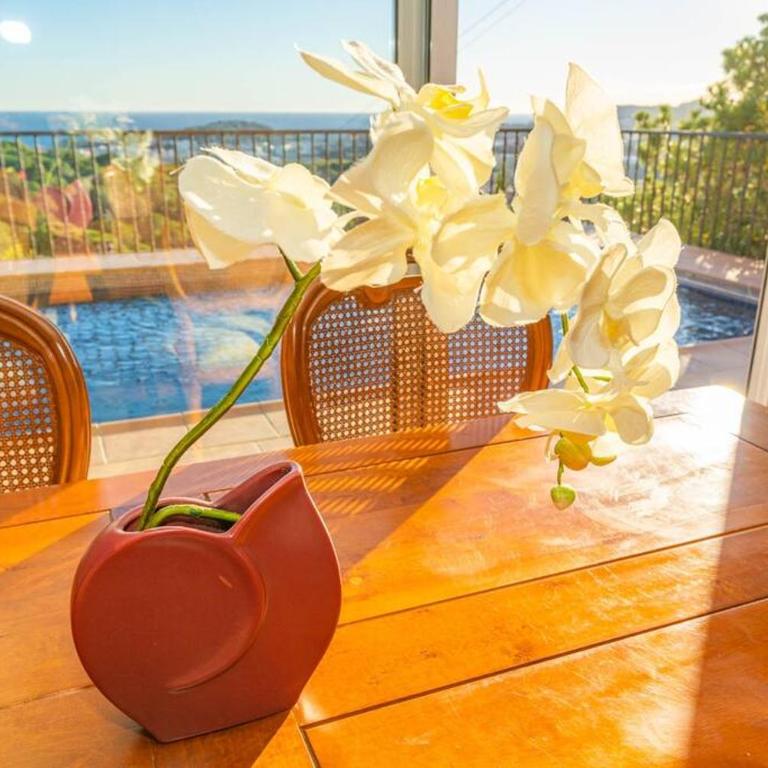 Villa Mare Nostrum,12 personen, panoramisch zeezicht - Villa - 16