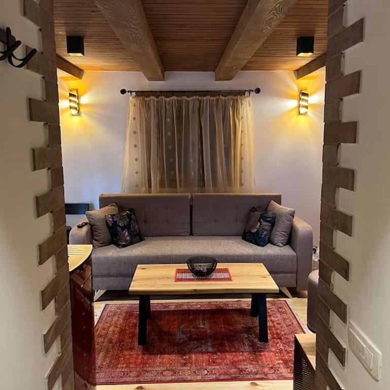 Tiny house ZAZA - Apartman sa 1 Spavaćom Sobom - 6