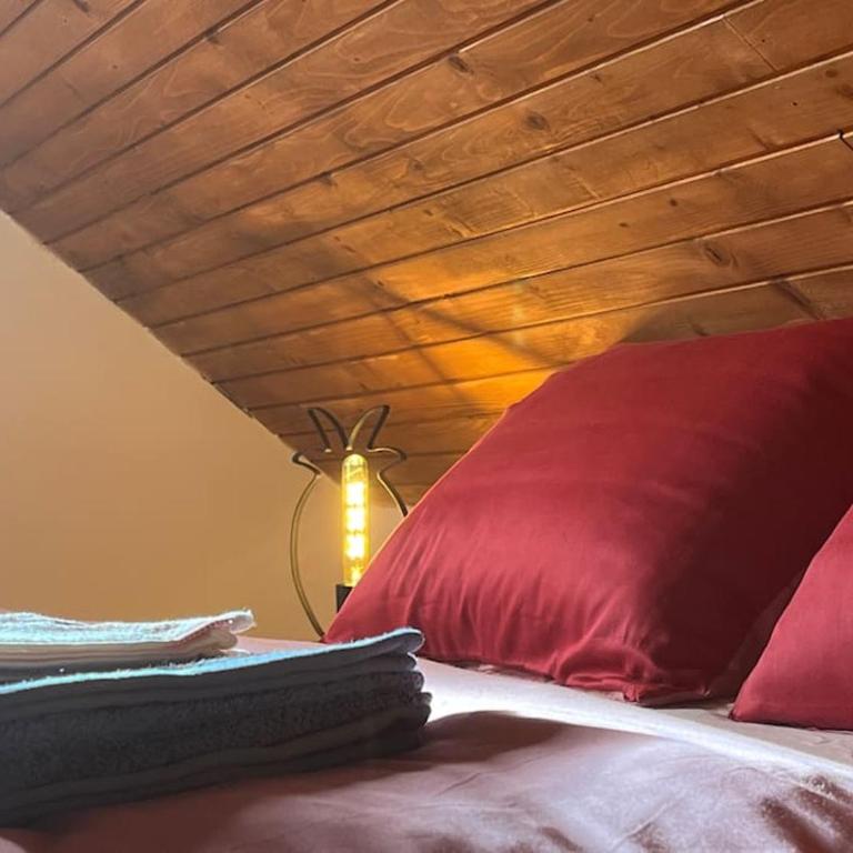 Tiny house ZAZA - Apartman sa 1 Spavaćom Sobom - 11