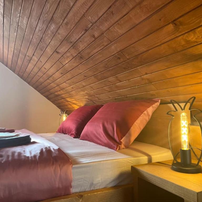 Tiny house ZAZA - Apartman sa 1 Spavaćom Sobom - 20