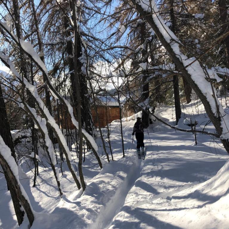 Chalet Rustique à La Tzoum' - Chalet - 18