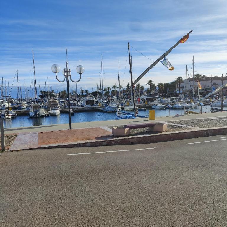 Studio climatisé 50 m.du port - One-Bedroom Apartment - 16