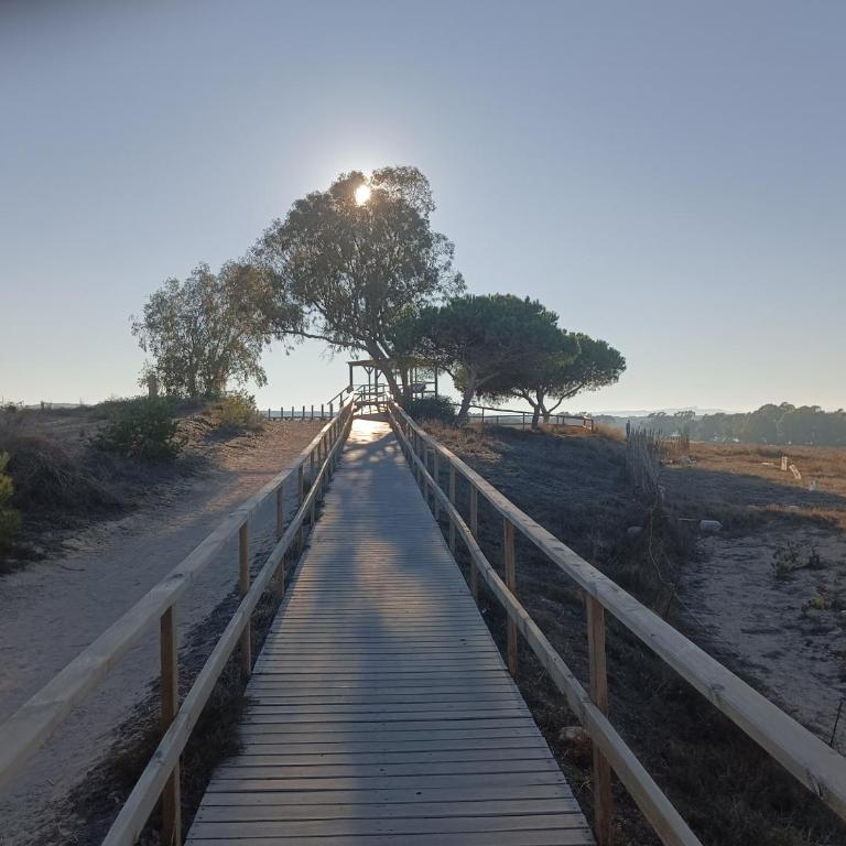 Bonito Apartamento 150 m de la playa La Mata - Apartamento de 1 dormitorio - 34