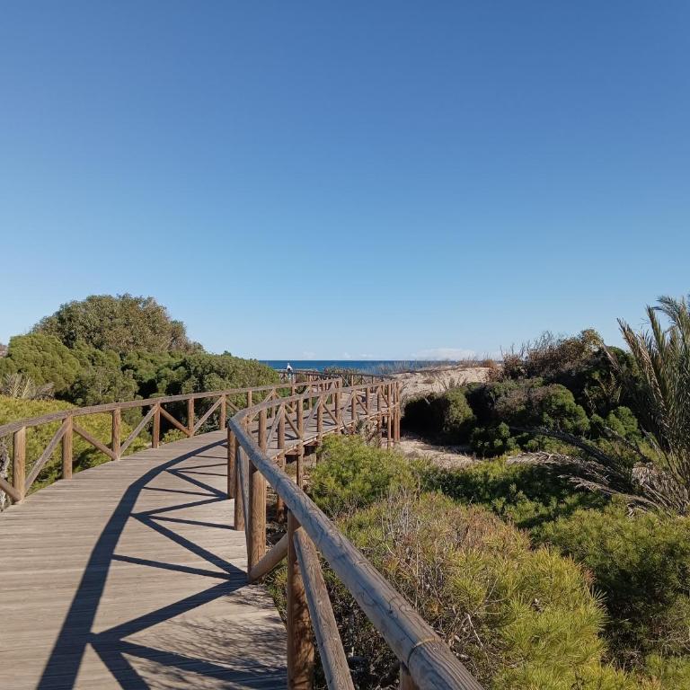 Bonito Apartamento 150 m de la playa La Mata - Apartamento de 1 dormitorio - 48