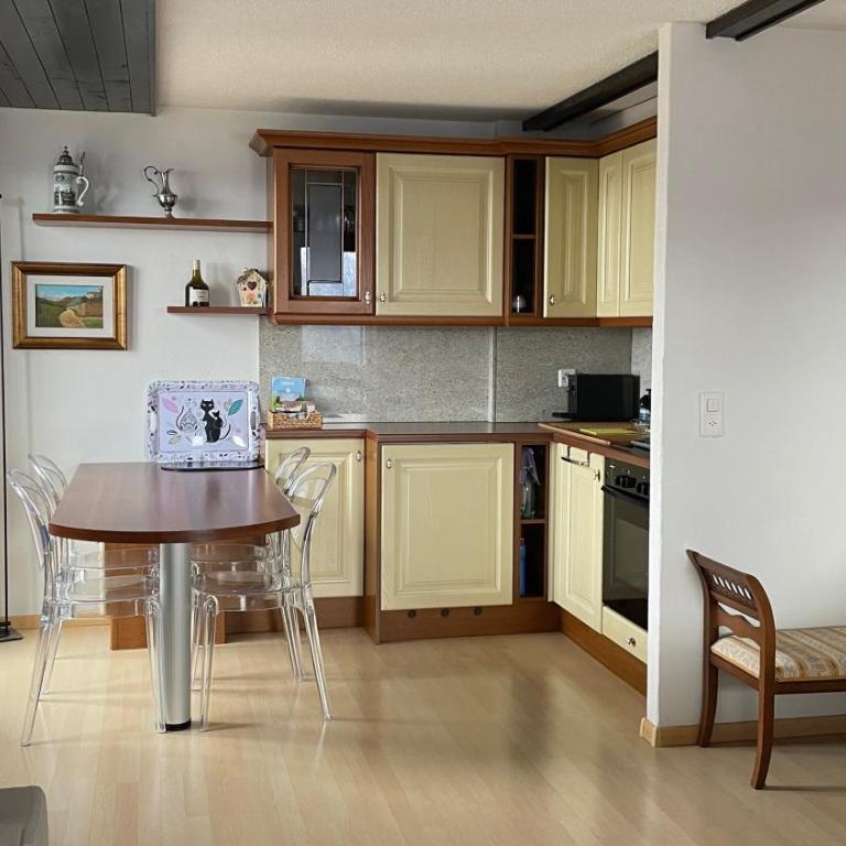 Bel appartement de 2 chambres avec magnifique vue à Crans-Montana - Appartement avec Vue sur la Montagne - 11