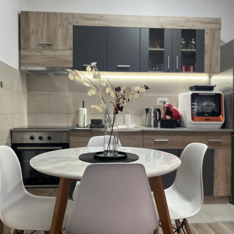 R Lux Apartman Jagodina Akva Park - Apartman sa 1 Spavaćom Sobom - 60