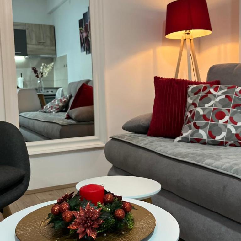 R Lux Apartman Jagodina Akva Park - Apartman sa 1 Spavaćom Sobom - 55