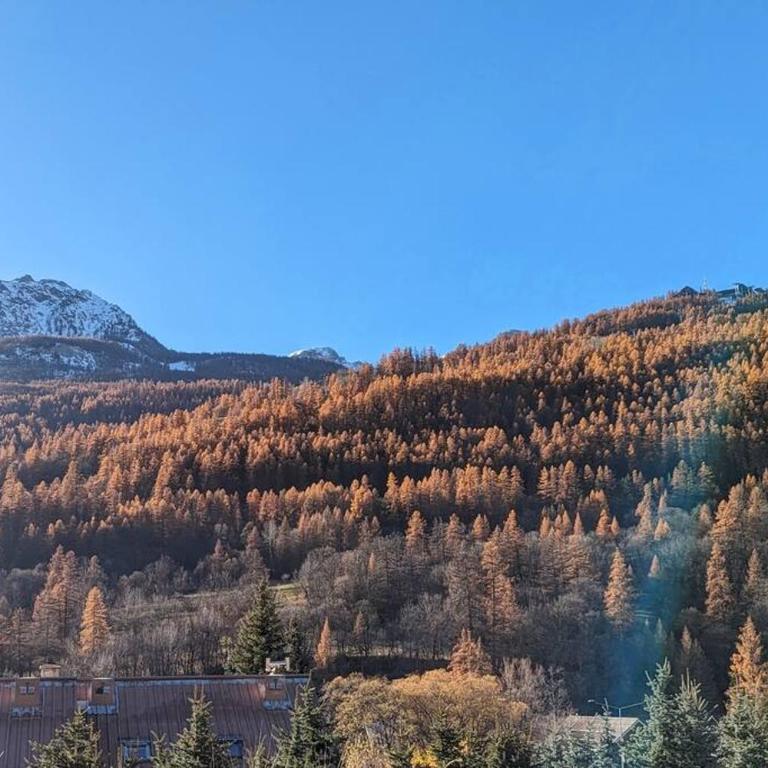 L'Hermine - Duplex à 5mn des pistes avec garage - Apartment with Mountain View - 5