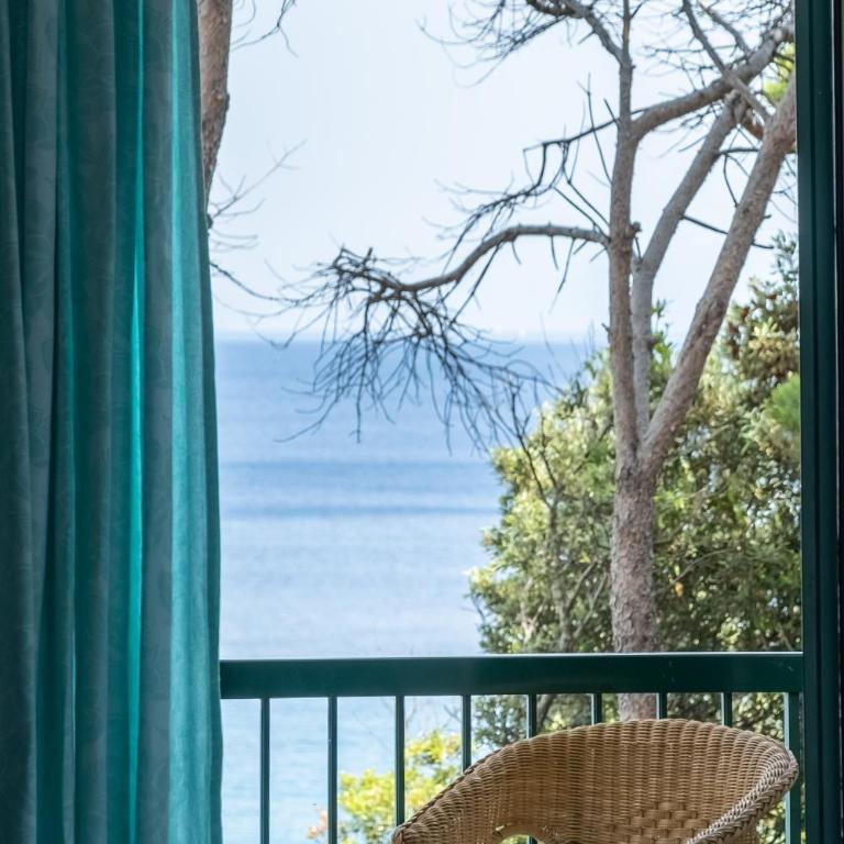 Hotel Paradiso - Camera Matrimoniale con Terrazza e Vista Mare - 1