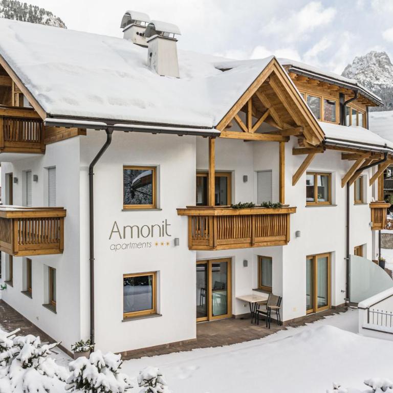 Amonit - Your Dolomites Home - Appartamento - 2