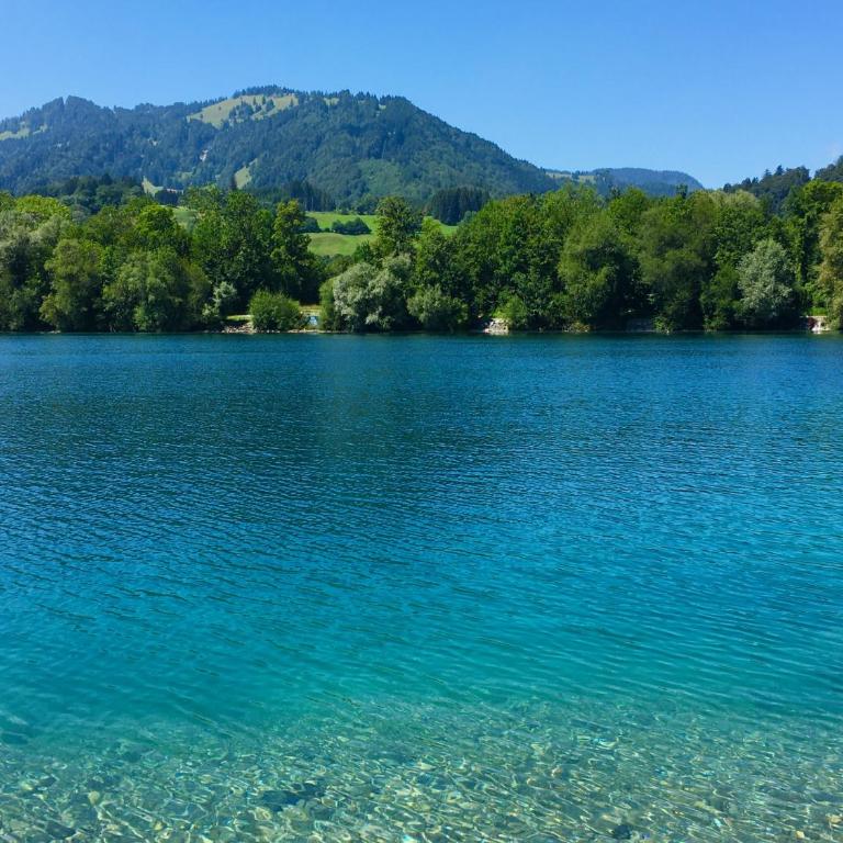 Landhaus Bergheimat in Burgberg für bis zu 14 Personen - Vacation Home - 43