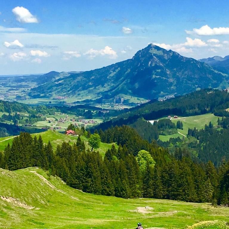 Landhaus Bergheimat in Burgberg für bis zu 14 Personen - Vacation Home - 46