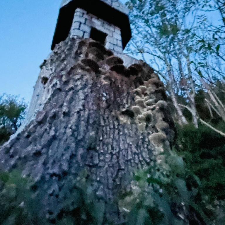 Landhaus Bergheimat in Burgberg für bis zu 14 Personen - Vacation Home - 47