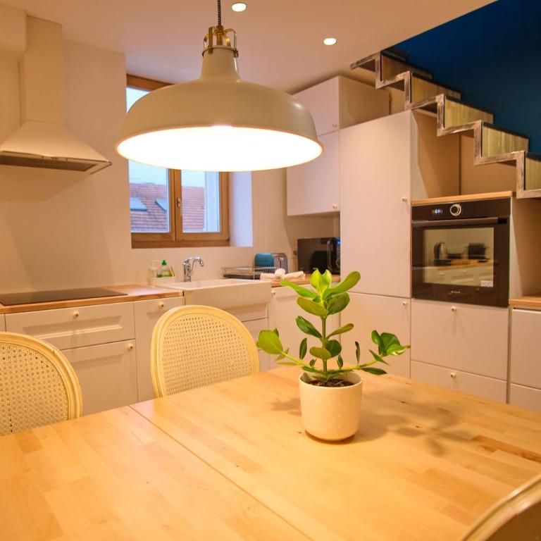 Le Louis XVI - Loft in the clouds in the heart of Nancy - Appartement 2 Chambres - 11