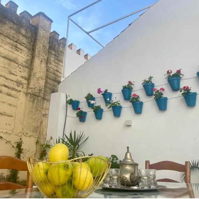 Casa Muralla del Alcazar Viejo - Casa de 3 dormitorios - 3