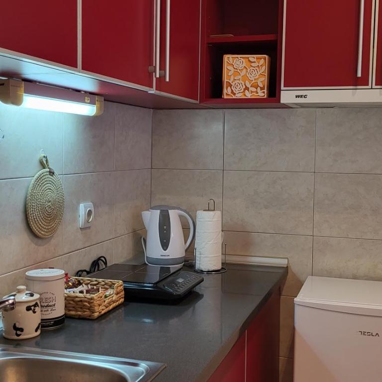Bulevar Plus - Apartman sa 1 Spavaćom Sobom - 10