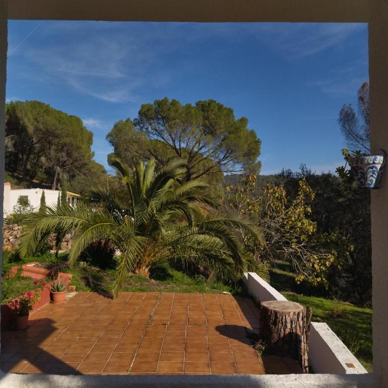 Bonita casa blanca en el bosque. - Two-Bedroom House - 39
