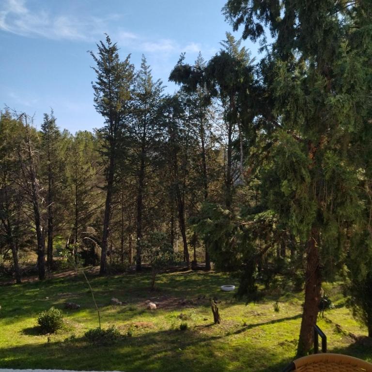 Bonita casa blanca en el bosque. - Two-Bedroom House - 40