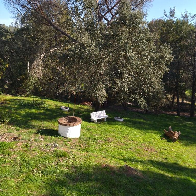 Bonita casa blanca en el bosque. - Two-Bedroom House - 41