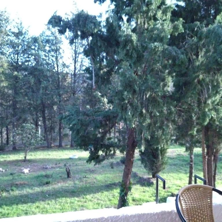 Bonita casa blanca en el bosque. - Two-Bedroom House - 42