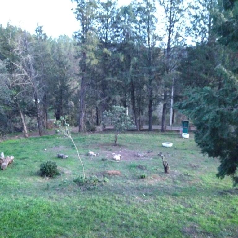 Bonita casa blanca en el bosque. - Two-Bedroom House - 43