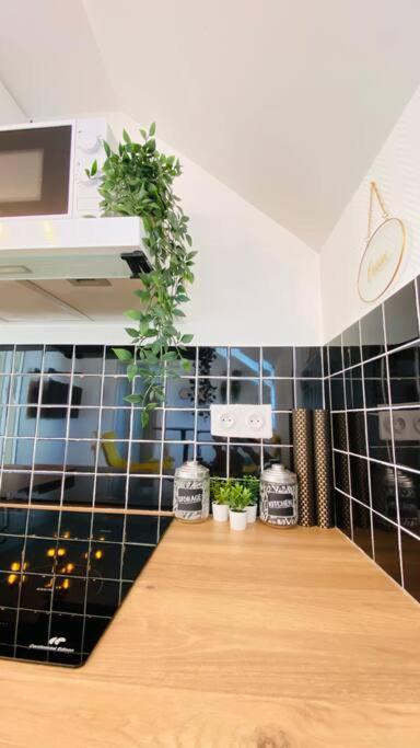 Appartements Cosy Le Havre - Standard Apartment - 5
