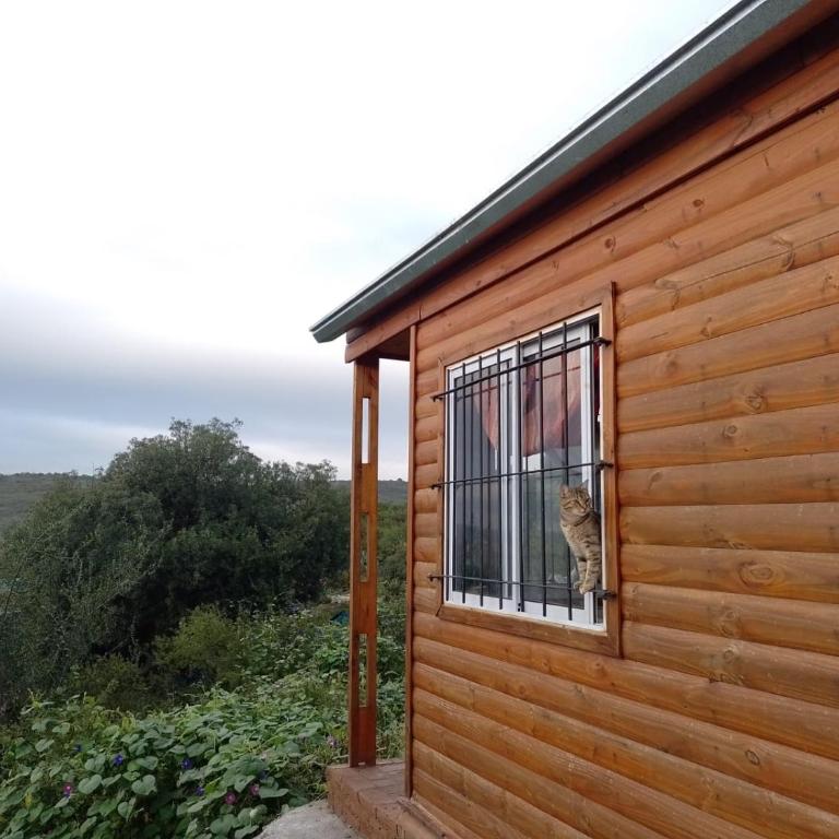 Casa Sierras Tanti Cabalango Carlos Paz - Casa de 2 dormitorios - 1