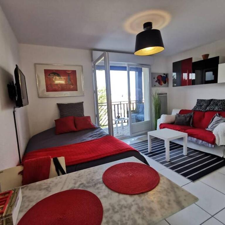 Studio vue bassin grand confort - Studio avec Terrasse - 1