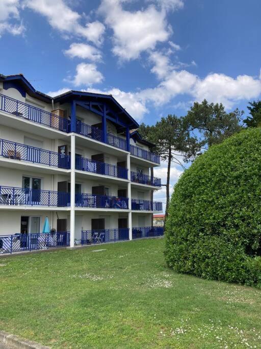 Studio vue bassin grand confort - Studio avec Terrasse - 8