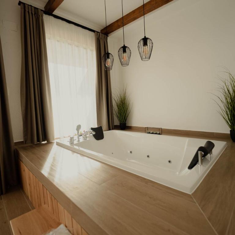 Zemunice Knezevic - Deluks Suite sa Spa Kadom - 3