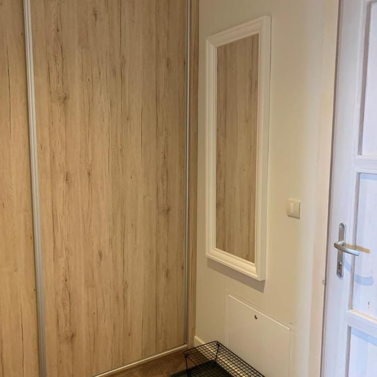 Apartment Župa 111 - Župa, Kopaonik - One-Bedroom Apartment - 11