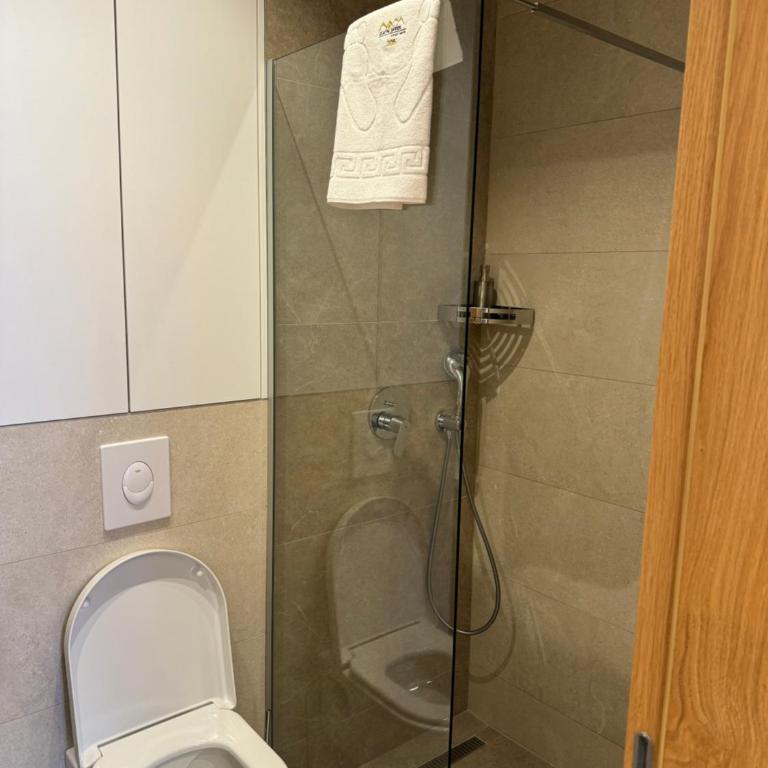 Apartman 305 Zlatni Javor - One-Bedroom Apartment - 12