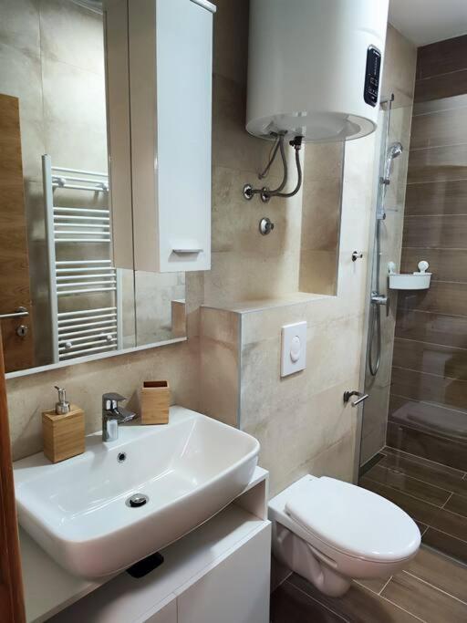 Maxx Apartmani Obucina Kapije - One-Bedroom Apartment - 12