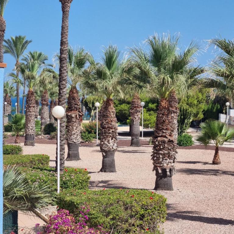 Zafiro Apartment Cabo Roig - Apartamento de 2 dormitorios - 2
