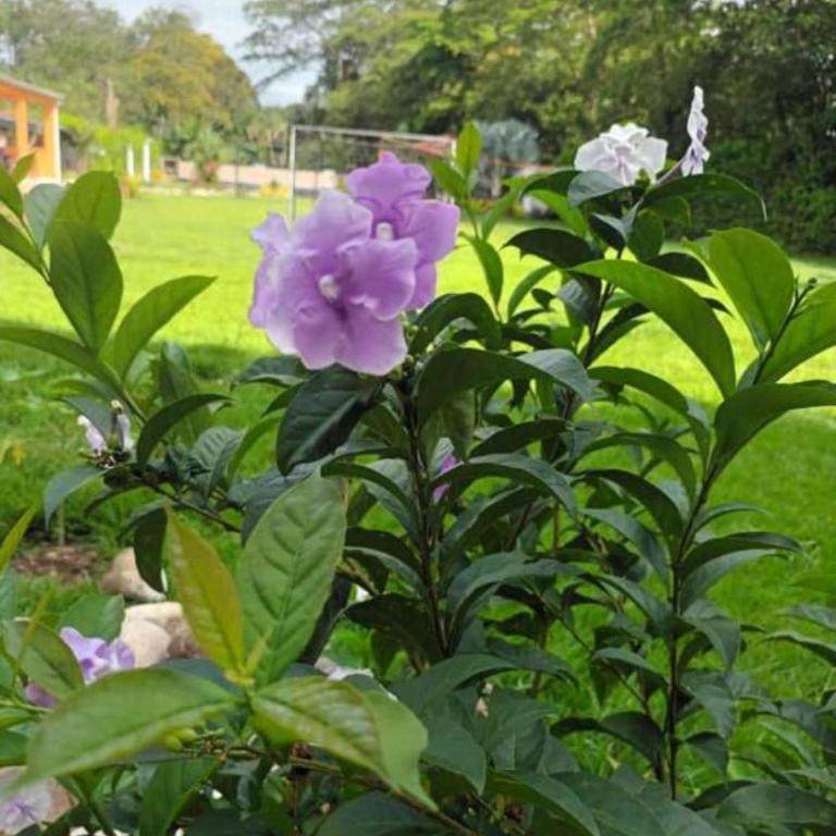HOSPEDAJE TURÍSTICO CAMPESTRE "Villa Alondra" - Casa - 24