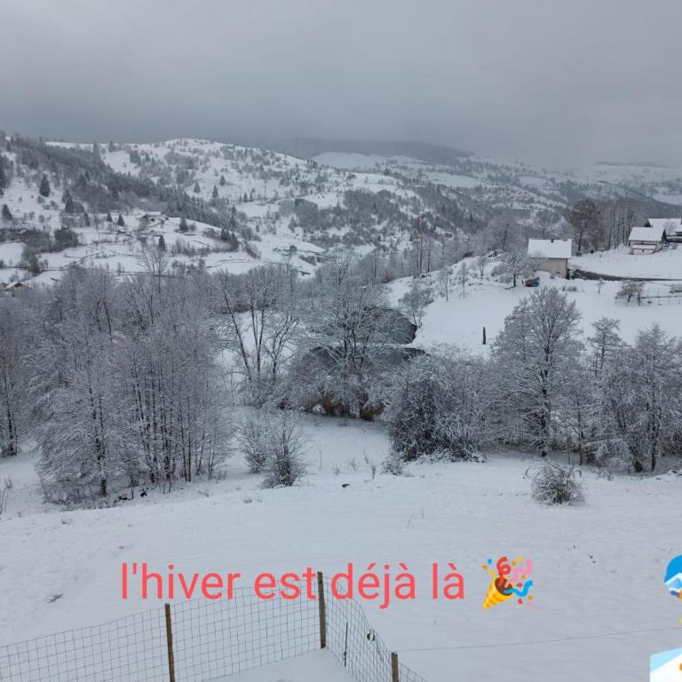 Les Chalets Bambi & Jacuzzi privatif - Appartement 1 Chambre - 3