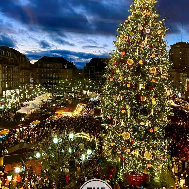 The POINT CITY-Center - Place KLEBER - Appartamento Deluxe - 6
