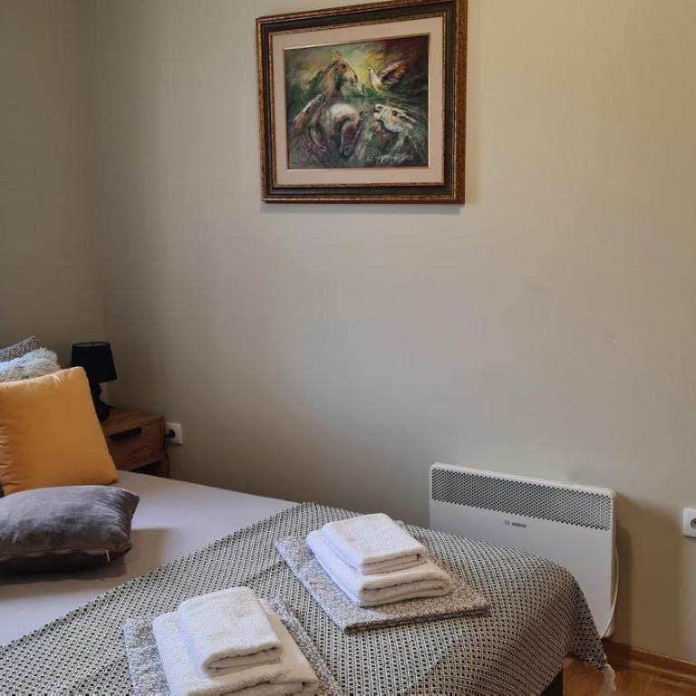MS Apartman - Apartman sa Terasom - 5