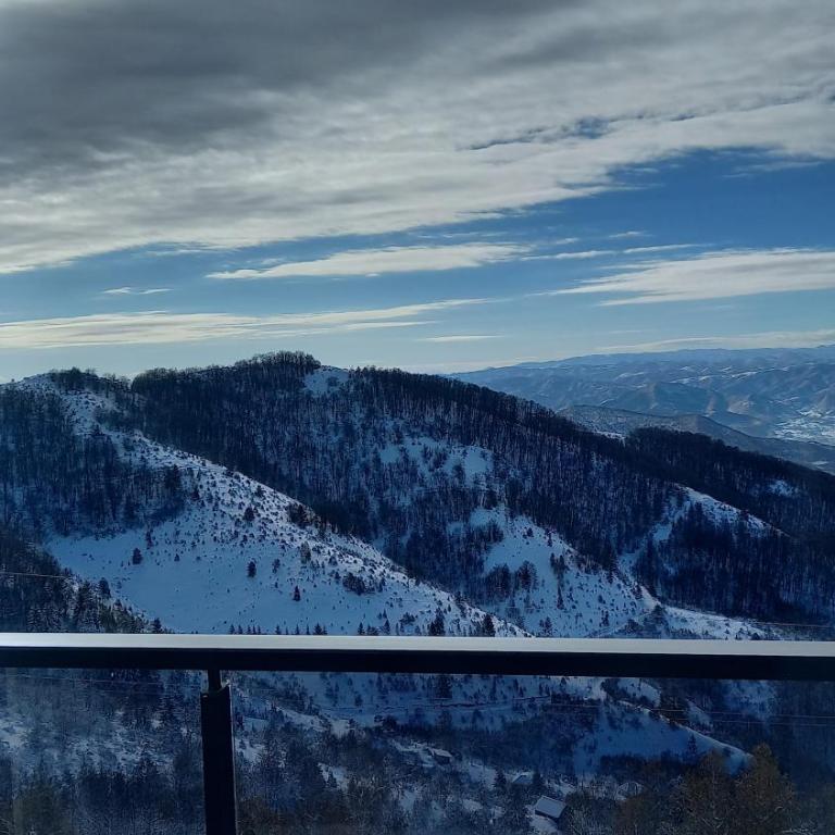 Apartman MK Kopaonik - Apartment with Mountain View - 34